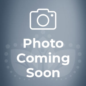 Placeholder image.
